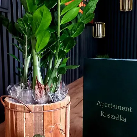 Apartment Koszalka Leba