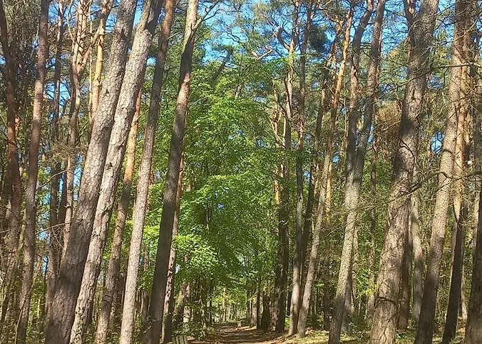 Koszalka Апартаменты