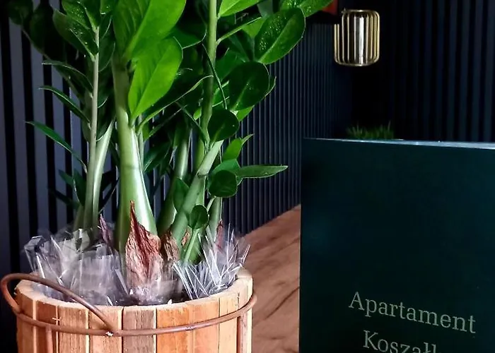 Апартаменты Koszalka Леба